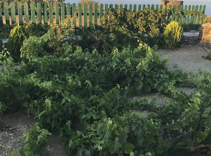 Windmill Arades Apollonia